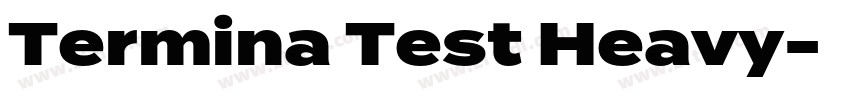 Termina Test Heavy字体转换